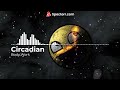 DNB Circadian Body Work Elevate Records mp3