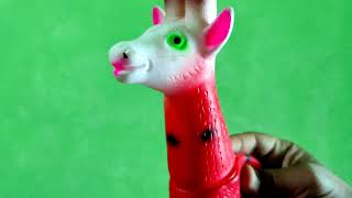Dear Squeaky Toy Sound Effect Squeezy Toy Playing Sound
