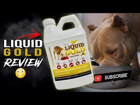 liquid gold for dogs | review