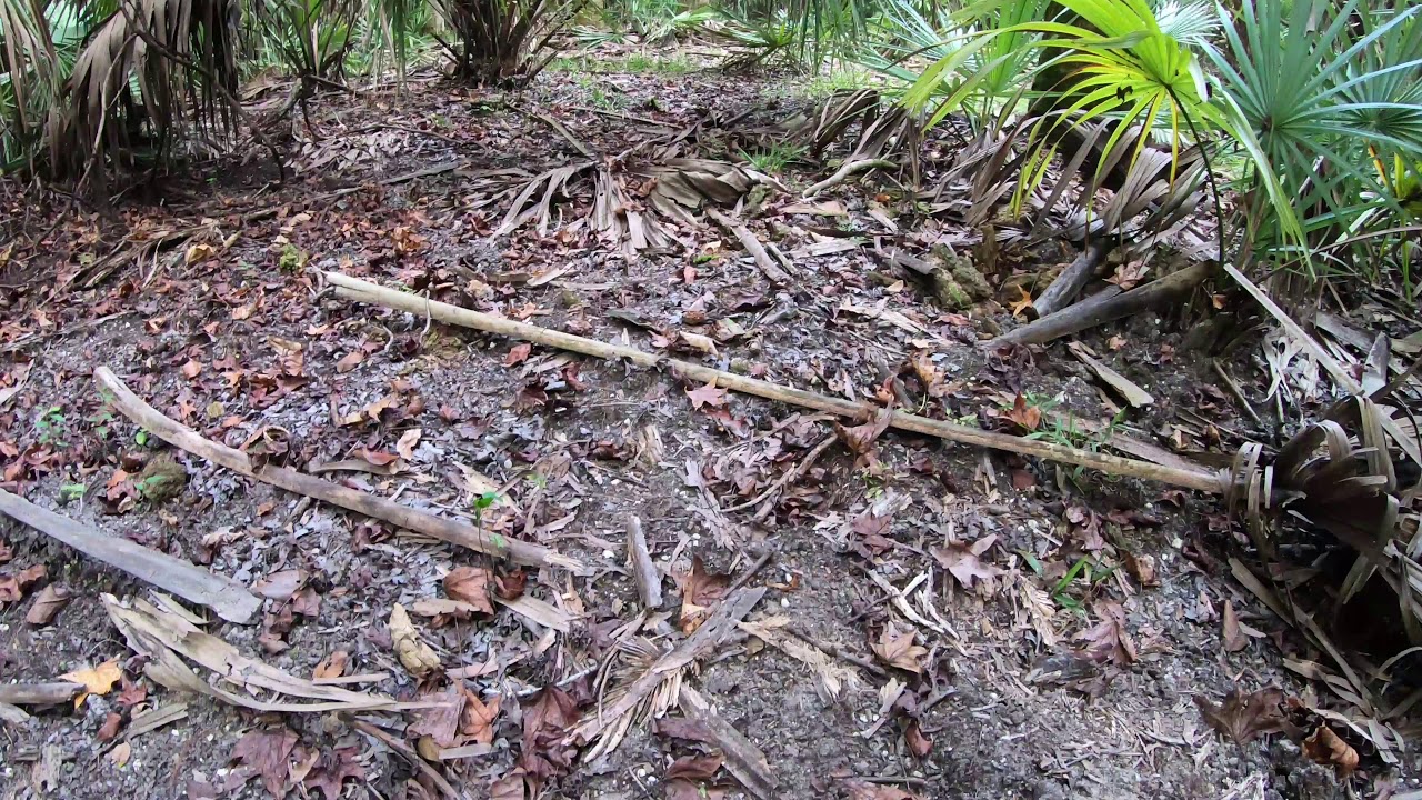 indian mounds in florida Indian Mounds at Silver River (Part Two)
