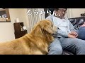 しつけの為に叱ったのに、かわいそうになって抱きしめてしまうダメな飼い主と愛犬ベンツ。
