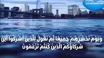 ماتيسر من سوره الأنعام|{ قُلْ إِنِّي أَخَافُ إِنْ عَصَيْتُ رَبِّي عَذَابَ يَوْمٍ عَظِيمٍ}