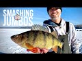 SMASHING Jumbo Perch (Ice Fishing)