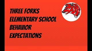 TF Elementary Behavior Expectations