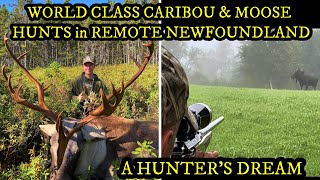 MOOSE & CARIBOU HUNTING in the REMOTE NEWFOUNDLAND WILDERNESS  A Hunter's Dream (Trophy animal!!)