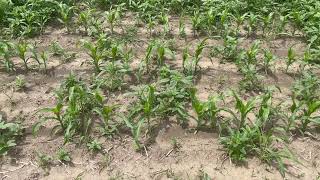 Resicore Rev 1.5 Qtac Vs 3 Qtac