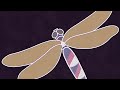 Murrumanamanaa (Dragonfly) @Procreate Process Video