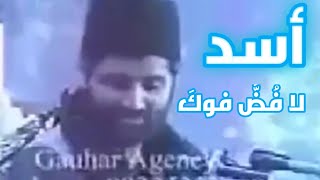 لعن رافضي برائي هندي شيعي شجاع يلعن عمر و ابوبكر و عثمان و عائشه وباقي الزبايل