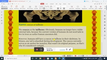 Zoo503-GDB solution # By ASMAT KHAN NIAZI