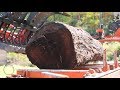 MASSIVE 40 INCH WIDE CHERRY LOG SAWMILLING