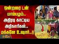 ஒன்றரை டன் மாம்பழம்.. அதிரடி காட்டிய அதிகாரிகள்.. மக்களே உஷார்..!! Tirunelveli | MangoSeized