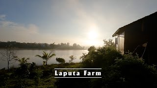 Một Ngày Tại Trại Chó Cảnh Laputa Farm