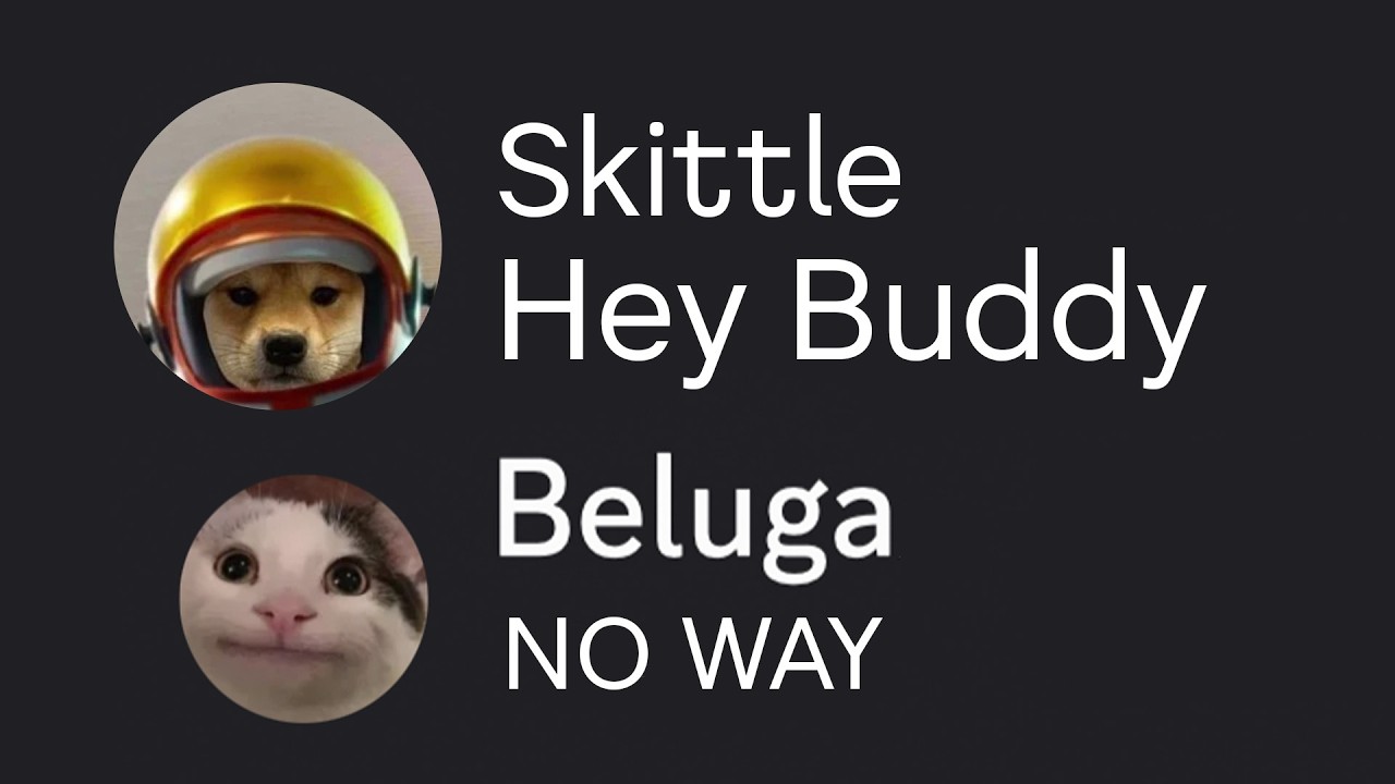 I DM'ed Beluga as Skittle