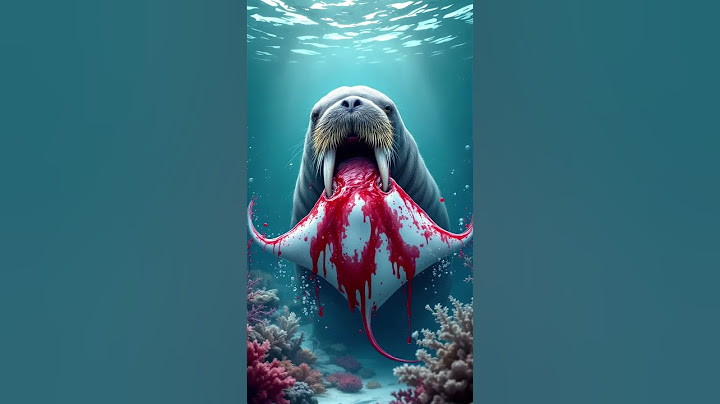 Walrus vs Sea Lion vs Dolphin (Giant Octopus, Great White Shark, Crocodile, Humpback Whale) Battle
