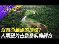 【Global】沒有亞馬遜的地球?雨林消失 人類將失去致命疾病解方@全球大視野