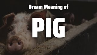 Pig Dream Meaning & Symbolism