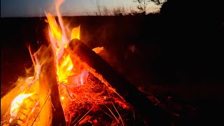 видео: Рыбалка с ночевкой на реке Сейм в окрестностях города Батурин / Мото путешествие Honda CRF 300 L картинка: Рыбалка с ночевкой на реке Сейм в окрестностях города Батурин / Мото путешествие Honda CRF 300 L