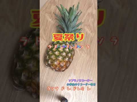【夏祭り】小学生のリコーダー吹き【ジッタリン・ジン】楽譜付き Whiteberry ソプラノリコーダー