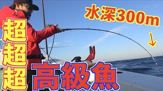 深海から最近話題の超高級魚を釣り上げる!!