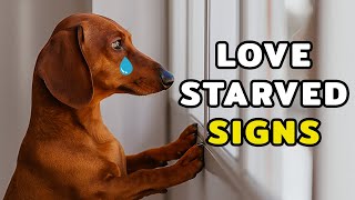 9 Signs Your Dog Feels Lonely (And Needs You More Than You Think)