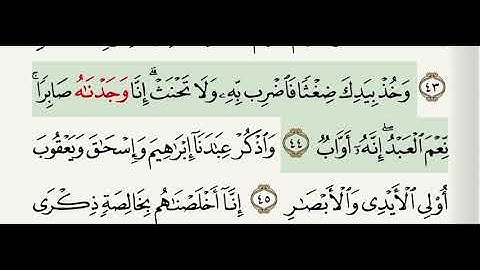 سورة ص آية 44