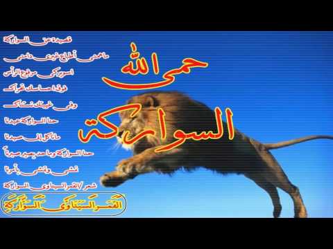 شيلة عن السواركة تصميمي القمرالسيناوى السواركة