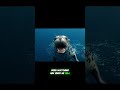 Out of the Ice, Into the Jaws of a Leopard Seal