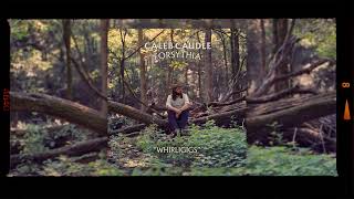 Video thumbnail of "Caleb Caudle - "Whirligigs" (Official Audio)"