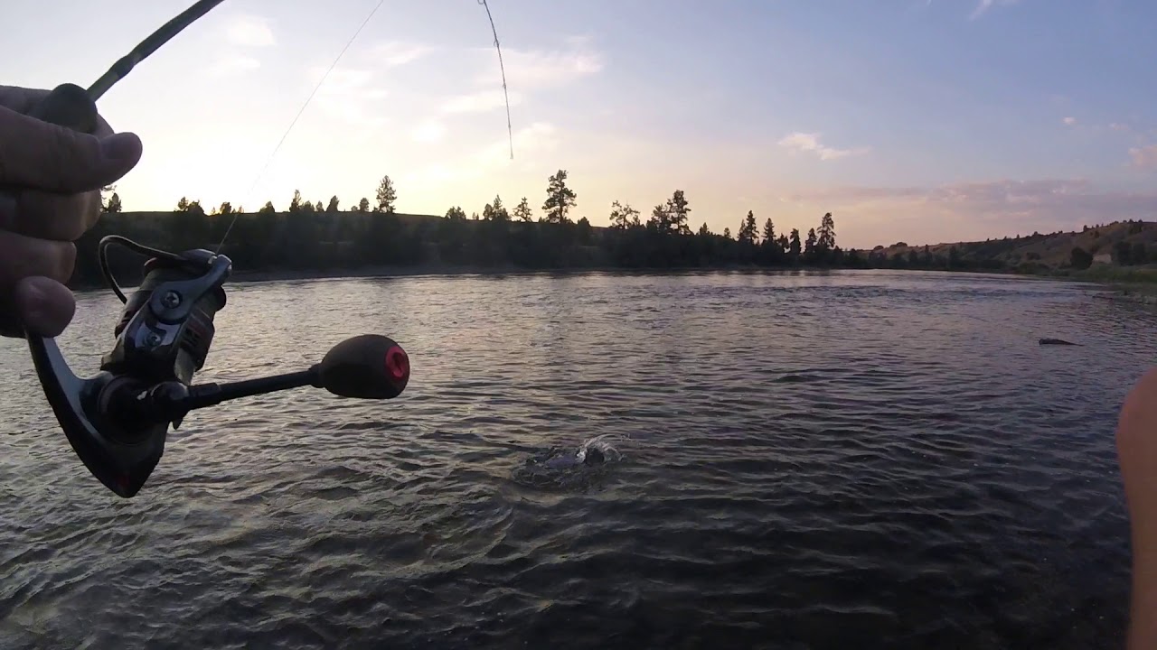 Ultralight jig fishing for trout YouTube