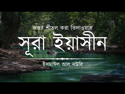 ভিডিও: অর্থ সহ ওয়াইন