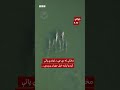 غمجنه مور ډالفین خپل مړ شوی بچی څو ورځې له ځان سره ګرځوي
