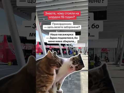 А у вас були такі ситуації? 😂😂 #подорожі #подорож #пасажирськіперевезення #перевезення #перевізник