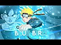 Blue bird   anime mix badass  amvedit  alight motion 10k 