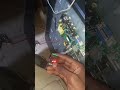 32 Inch tv lcd light driver dead, modify using power supply
