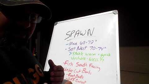 Chalk Talk #19  Catfishing the Spawn