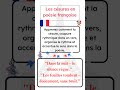 Ref:VLzaUdSf9VU Les c�sures en po�sie fran�aise #apprendrelefrancais #francaisfacile #apprendre