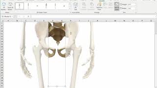 Excel 2019's new 3D Imaging feature