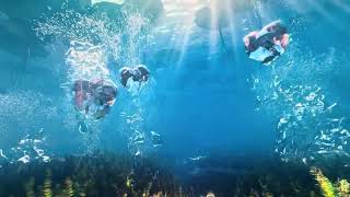 Zac Brown Band - Live at the Sphere 12/6/25 - I ain’t Worried About It  HD