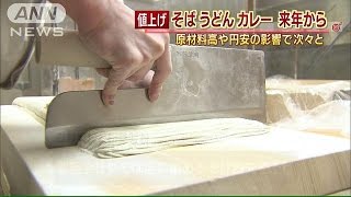 そば、うどん、カレーが・・・　来年も食品値上げ次々と(14/12/12)