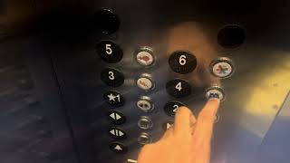 Thyssenkrupp Pixar Pals Elevator