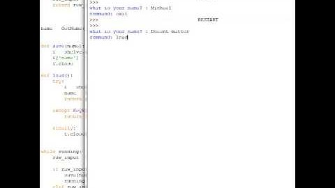 Python save and load function with Shelve