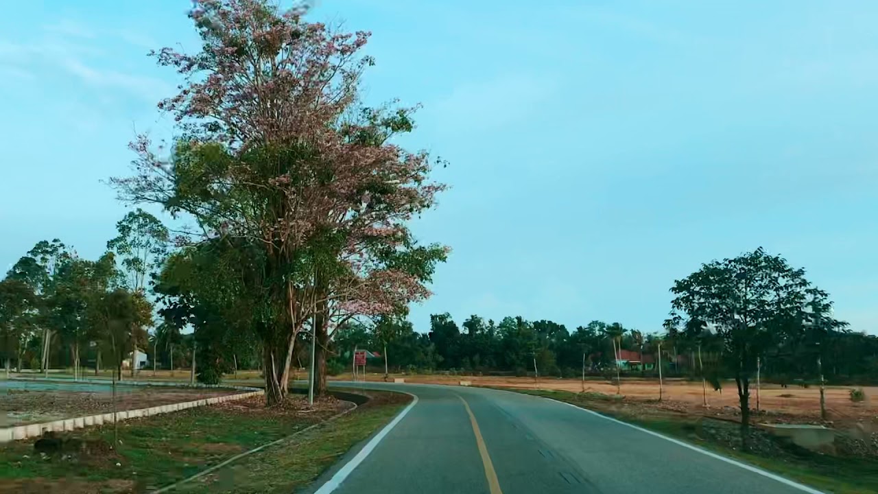 Pretty days in Pendang