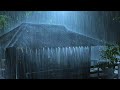 Fall Asleep With The Soothing Sounds Of Rain And Thunder | ASMR, Study, Relax with Rain Sounds