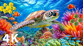 Ocean 4K - красивые коралловые рифовые рыбы в аквариуме, морские животные для отдыха # 27