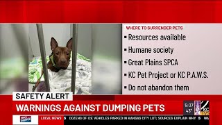‘We are not a shelter’: Kansas City vet clinic warns against dumping pets