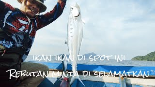 (Part 2) Destinasi liburan dan spot mancing terbaik di Pulau Pelapis