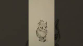 Macska szabad kézzel rajzolva 🐾