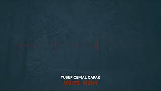 Yusuf Cemal Çapak - Güzel Kızım (Şarkı)
