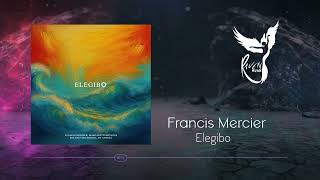 Francis Mercier, Margareth Menezes, Relight Orchestra, DJ Andrea - Elegibo [Insomniac Records]