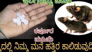 ಈ ರೀತಿ ಮಾಡಿ ಜನ್ಮದಲ್ಲಿ ಇಲಿಗಳು ನಿಮ್ಮ ಮನೆ ಹತ್ತಿರ ಬರುವುದಿಲ್ಲ |Rat control Home remedies in Kannada |Tips